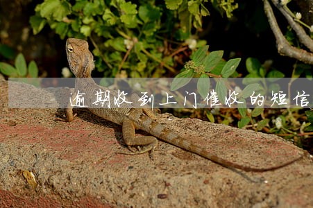 逾期收到上门催收的短信 逾期收到上门催收的短信