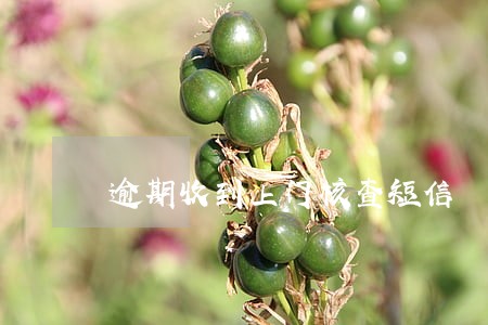 逾期收到上门核查短信