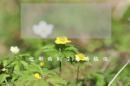 逾期收到了逮捕短信