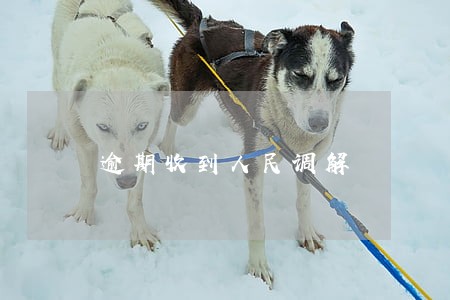逾期收到人民调解 逾期收到人民调解