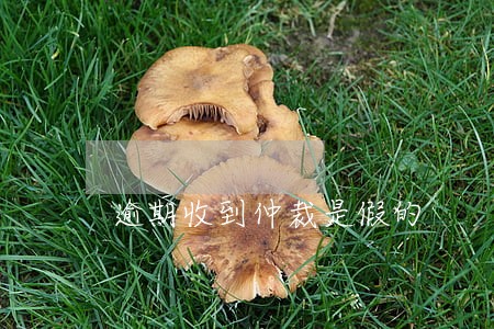 逾期收到仲裁是假的 逾期收到仲裁是假的