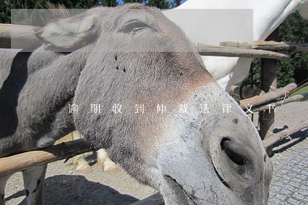 逾期收到仲裁法律文书 逾期收到仲裁法律文书