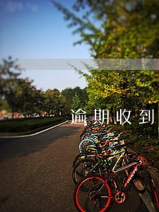 逾期收到传票了 逾期收到传票了