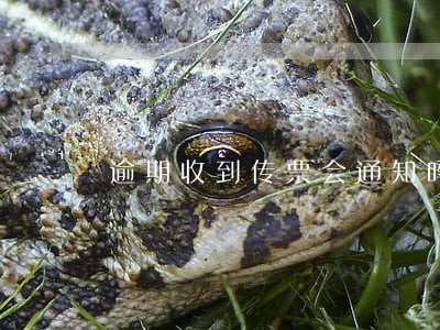 逾期收到传票会通知吗 逾期收到传票会通知吗