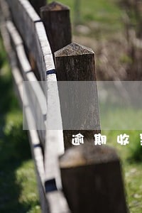 逾期收到传票后不去会怎样 逾期收到传票后不去会怎样