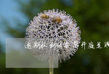 逾期收到传票后开庭是调解吗