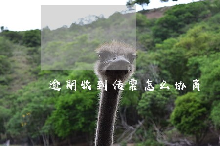 逾期收到传票怎么协商 逾期收到传票怎么协商