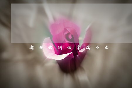 逾期收到传票过不去