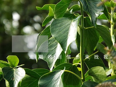逾期收到信息来找我 逾期收到信息来找我