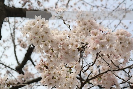 逾期收到信息说开庭 逾期收到信息说开庭