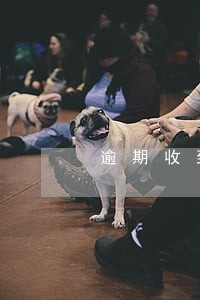 逾期收到信息资产清算 逾期收到信息资产清算