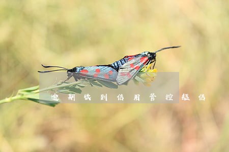 逾期收到信用管控短信 逾期收到信用管控短信
