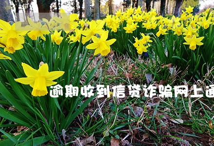 逾期收到信贷诈骗网上通缉短信 逾期收到信贷诈骗网上通缉短信