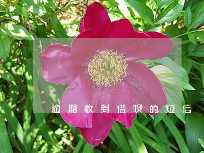 逾期收到借呗的短信 逾期收到借呗的短信