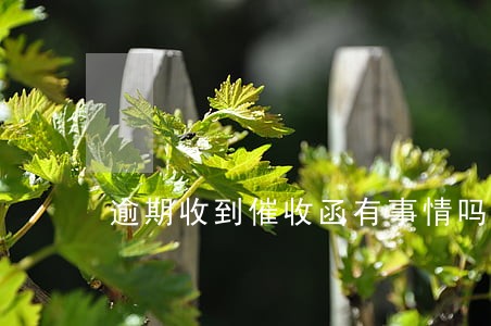 逾期收到催收函有事情吗 逾期收到催收函有事情吗