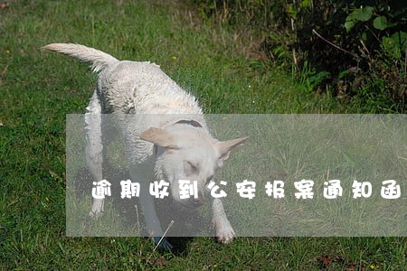 逾期收到公安报案通知函 逾期收到公安报案通知函
