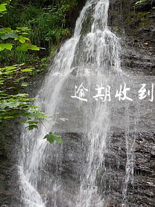 逾期收到函件 逾期收到函件