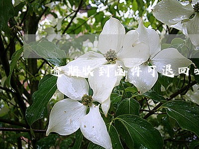 逾期收到函件可退回吗 逾期收到函件可退回吗
