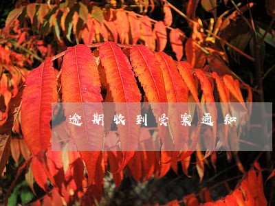逾期收到受案通知