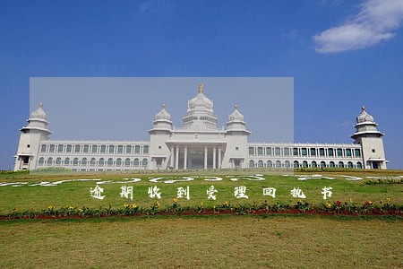 逾期收到受理回执书