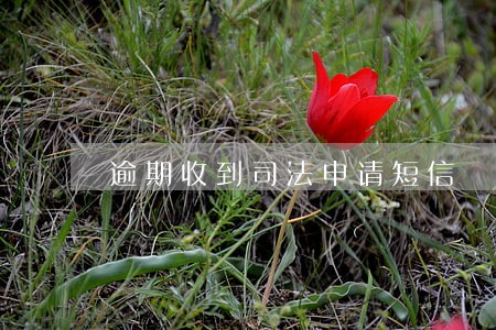 逾期收到司法申请短信 逾期收到司法申请短信
