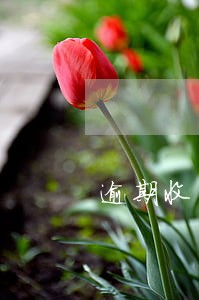 逾期收到唯品金融信函 逾期收到唯品金融信函