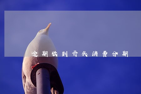 逾期收到开头消费分期 逾期收到开头消费分期