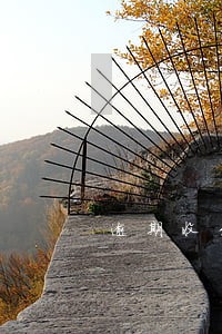 逾期收到异地传票