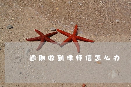 逾期收到律师信怎么办 逾期收到律师信怎么办