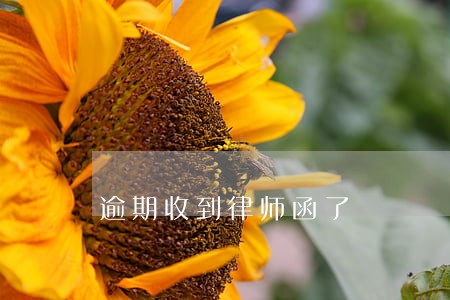 逾期收到律师函了 逾期收到律师函了