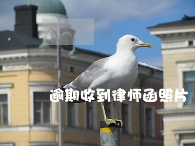 逾期收到律师函照片 逾期收到律师函照片