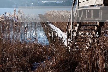逾期收到律师函的短信 逾期收到律师函的短信