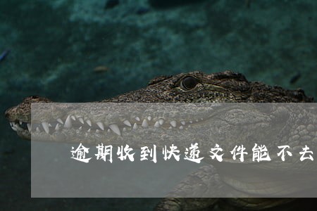 逾期收到快递文件能不去拿么 逾期收到快递文件能不去拿么