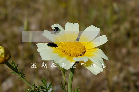 逾期收到恐吓短信 逾期收到恐吓短信