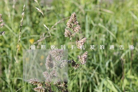 逾期收到手机发的通告函 逾期收到手机发的通告函