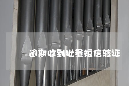 逾期收到批量短信验证