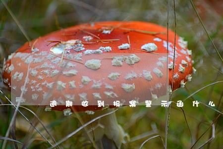 逾期收到报案警示函什么意思 逾期收到报案警示函什么意思