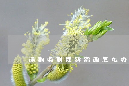 逾期收到拜访留函怎么办 逾期收到拜访留函怎么办