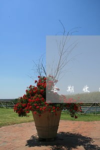 逾期收到支付令短信 逾期收到支付令短信