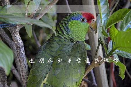 逾期收到案情通报短信