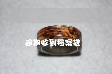 逾期收到档案袋 逾期收到档案袋