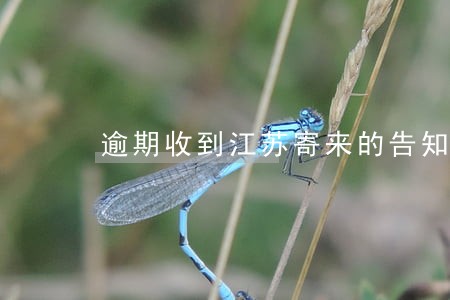 逾期收到江苏寄来的告知函