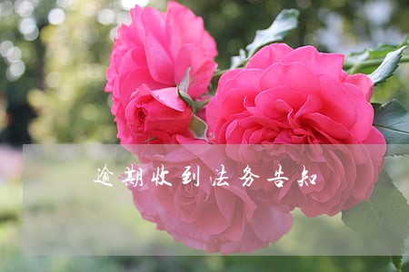 逾期收到法务告知 逾期收到法务告知