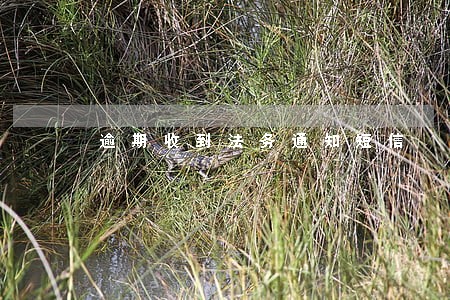 逾期收到法务通知短信 逾期收到法务通知短信