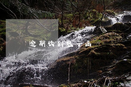 逾期收到电子函 逾期收到电子函