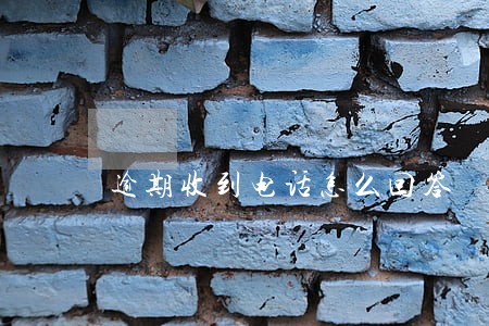 逾期收到电话怎么回答 逾期收到电话怎么回答