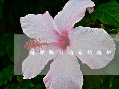 逾期收到的冻结通知 逾期收到的冻结通知