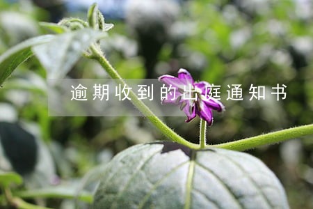 逾期收到的出庭通知书 逾期收到的出庭通知书