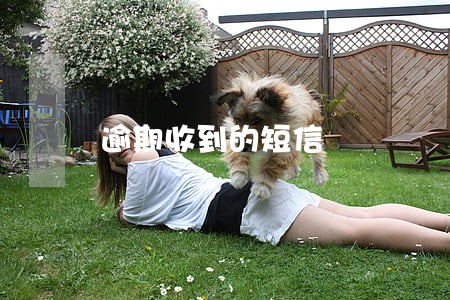 逾期收到的短信
