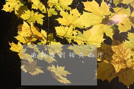 逾期收到相关函件